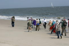 Beach Walking