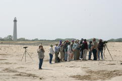 Birding the Dunes