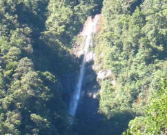 Waterfallin Tapanti NP