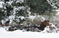 Front Pond in Winter