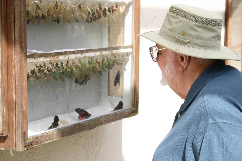 George at Butterfly World